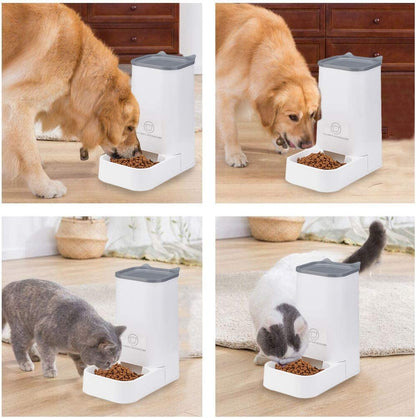 Automatic Pet Feeder and Water Dispenser Set, 1-Gallon Capacity Waterer and 2.1Kg Food Feeder, Self-Dispensing System for Small Pets, Made from Durable Polypropylene, Suitable for Cats and Dogs