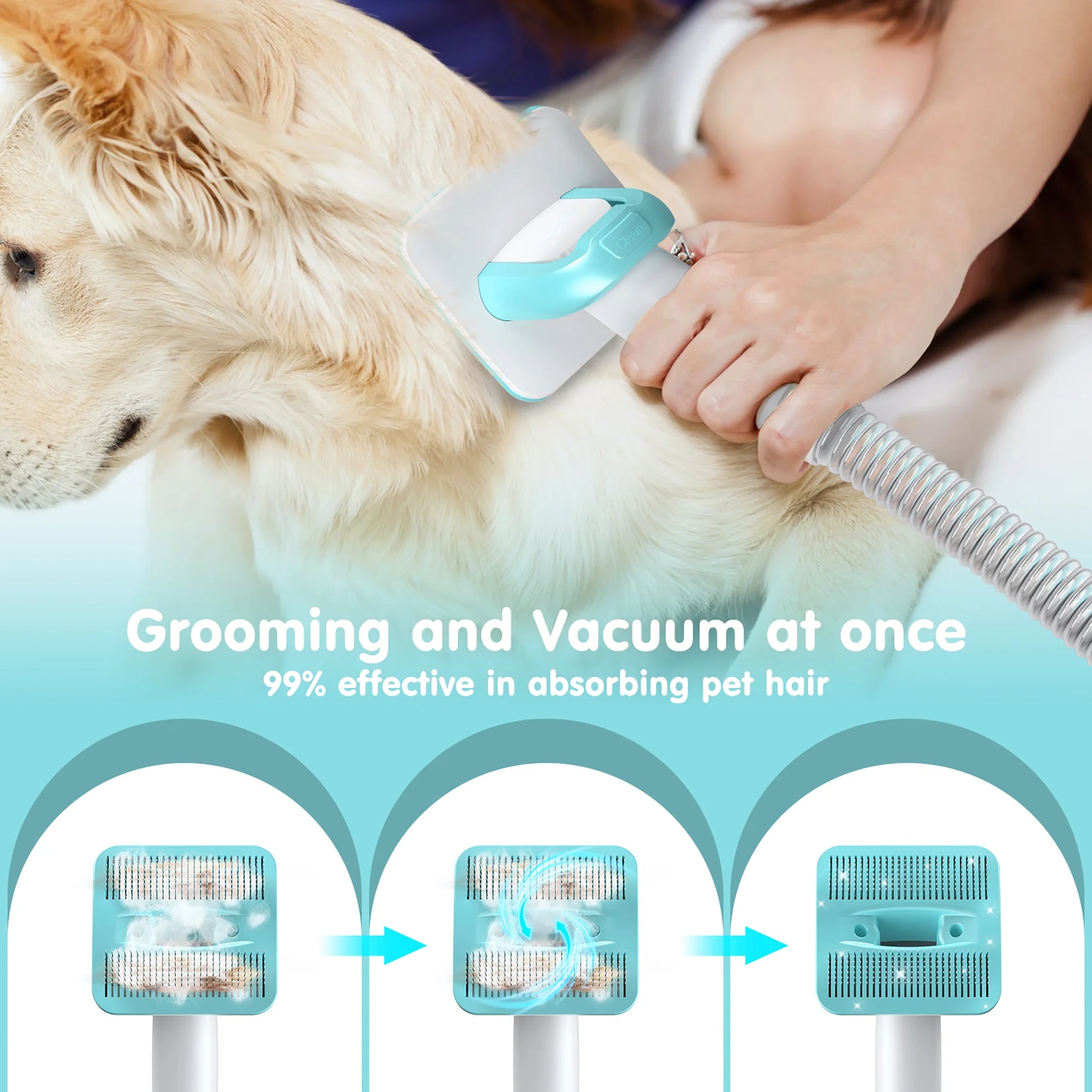 Professional 6-in-1 Dog Grooming Vacuum System - 11,000PA High Suction & 1.5L Capacity | 99% Hair Removal with Comprehensive Grooming Tools | Advanced Pet Vacuum for Professional Grooming